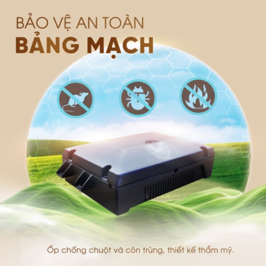 Ghế Massage Lifesport LS-825 SL