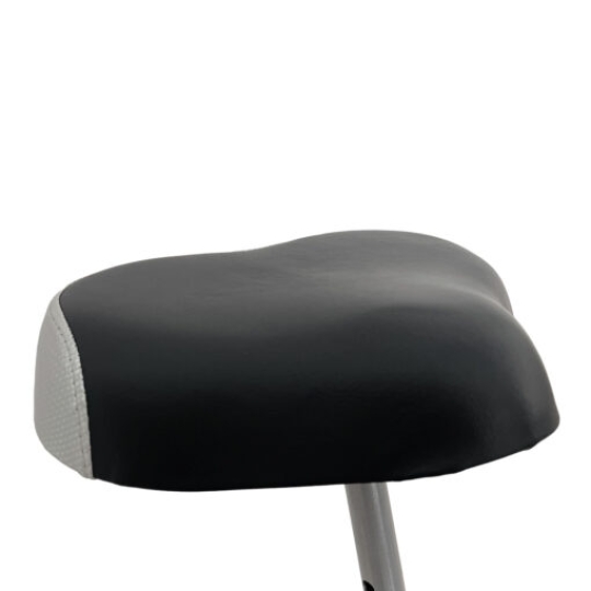 Xe Đạp Tập Thể Dục Lifesport LS-206